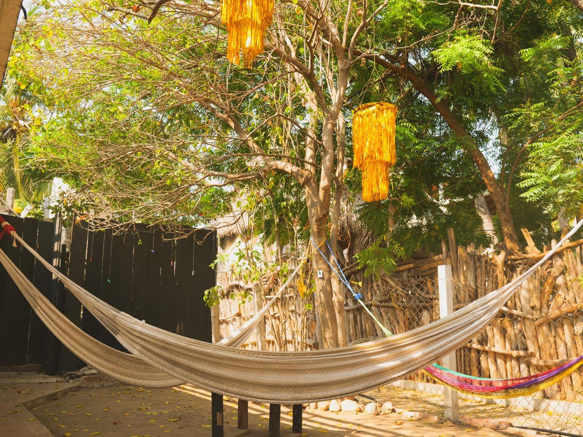 Wajakita Experience Hostel زيبوليت المظهر الخارجي الصورة
